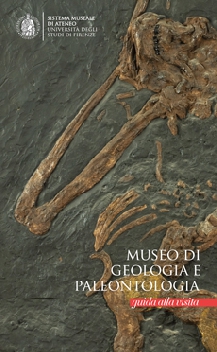 Museo di Geologia e Paleontologia - Guida alla visita