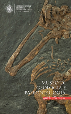 Museo di Geologia e Paleontologia